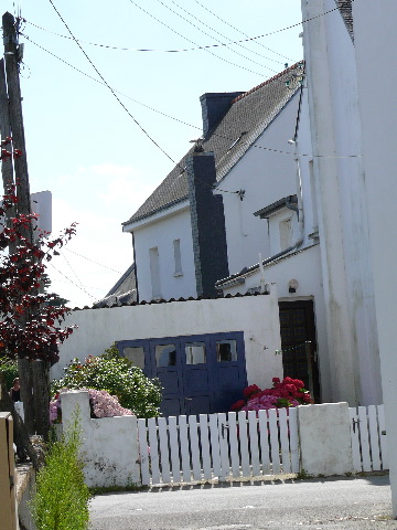 P1000599
