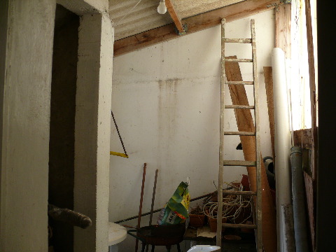 P1000645