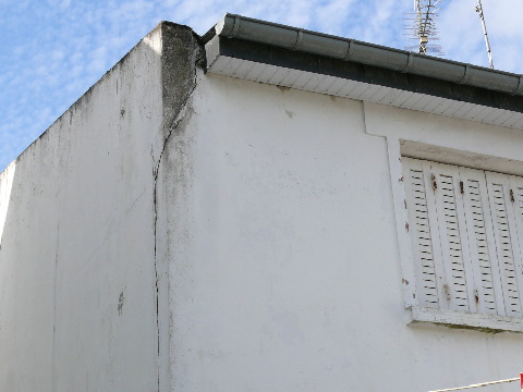 P1000608