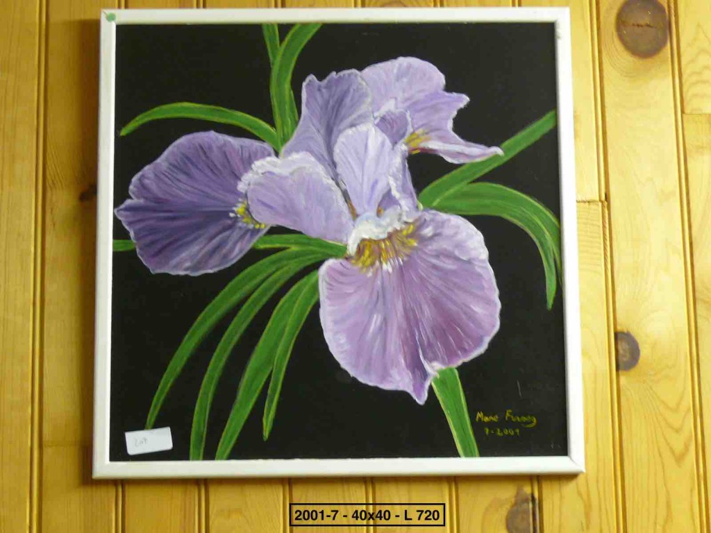 iris